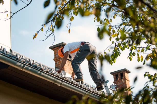 Best Commercial Roofing Services  in River Rouge, MI