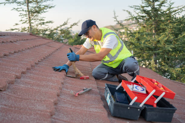 Best Residential Roofing Contractor  in River Rouge, MI