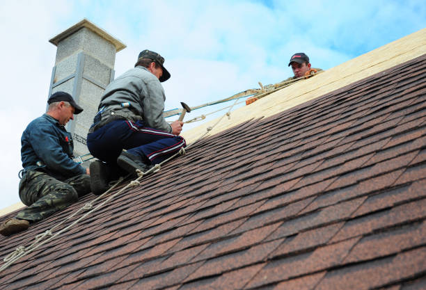 Best Residential Roofing Contractor  in River Rouge, MI