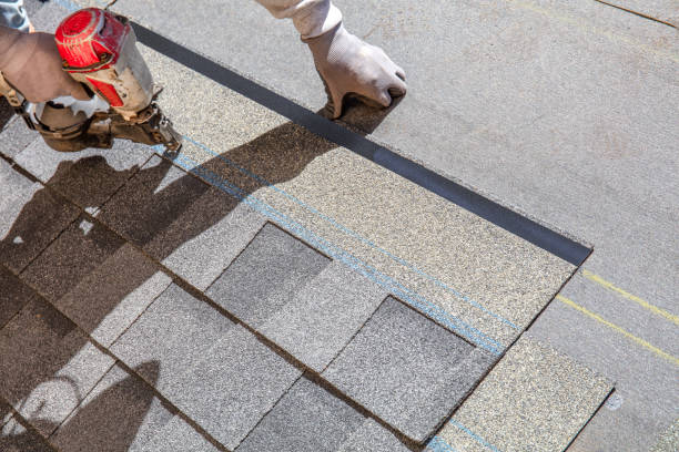 Best Roof Replacement Cost  in River Rouge, MI