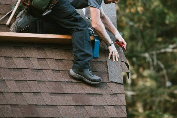 Best Storm Damage Roof Repair  in River Rouge, MI